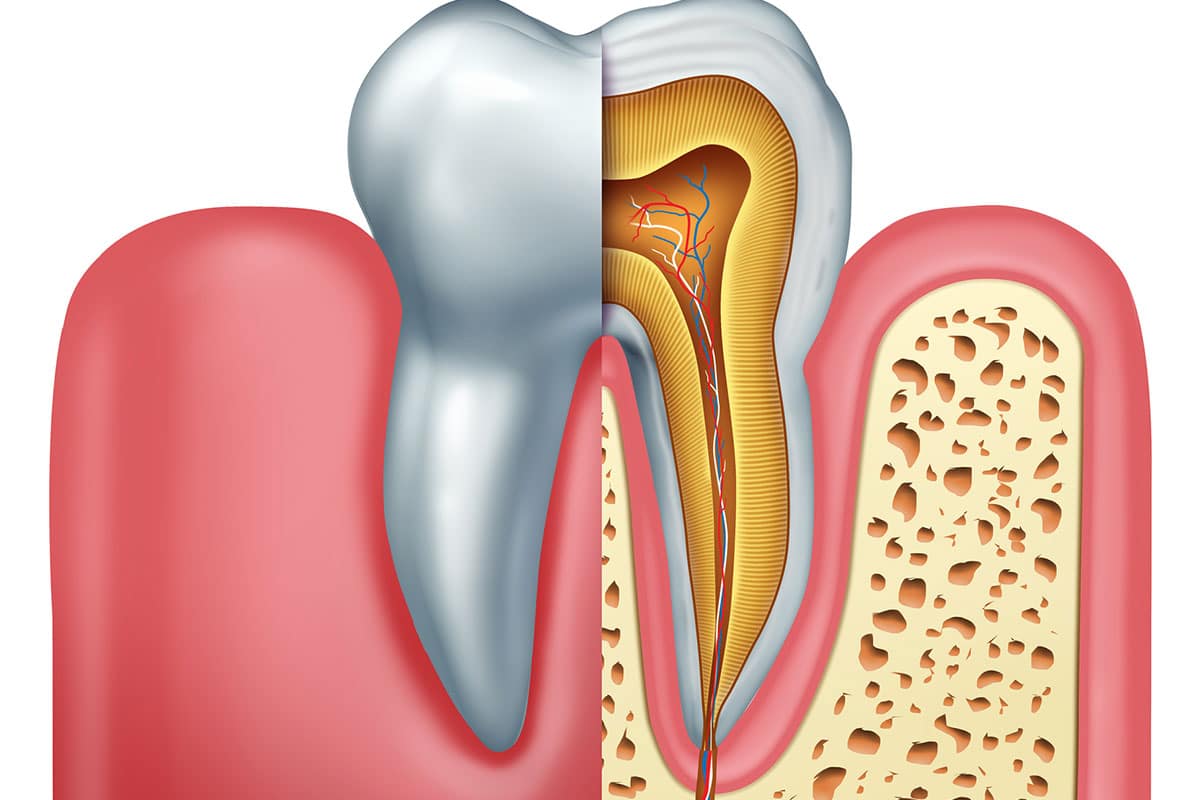 How Long Does A Root Canal Last Expert Insights Blog